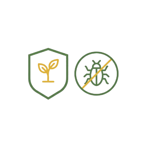 Disease Free Crops - Sugam Seeds