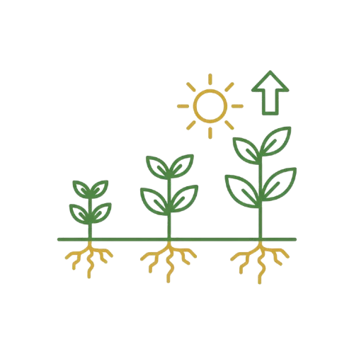 Faster Crop Maturity - Sugam Seeds