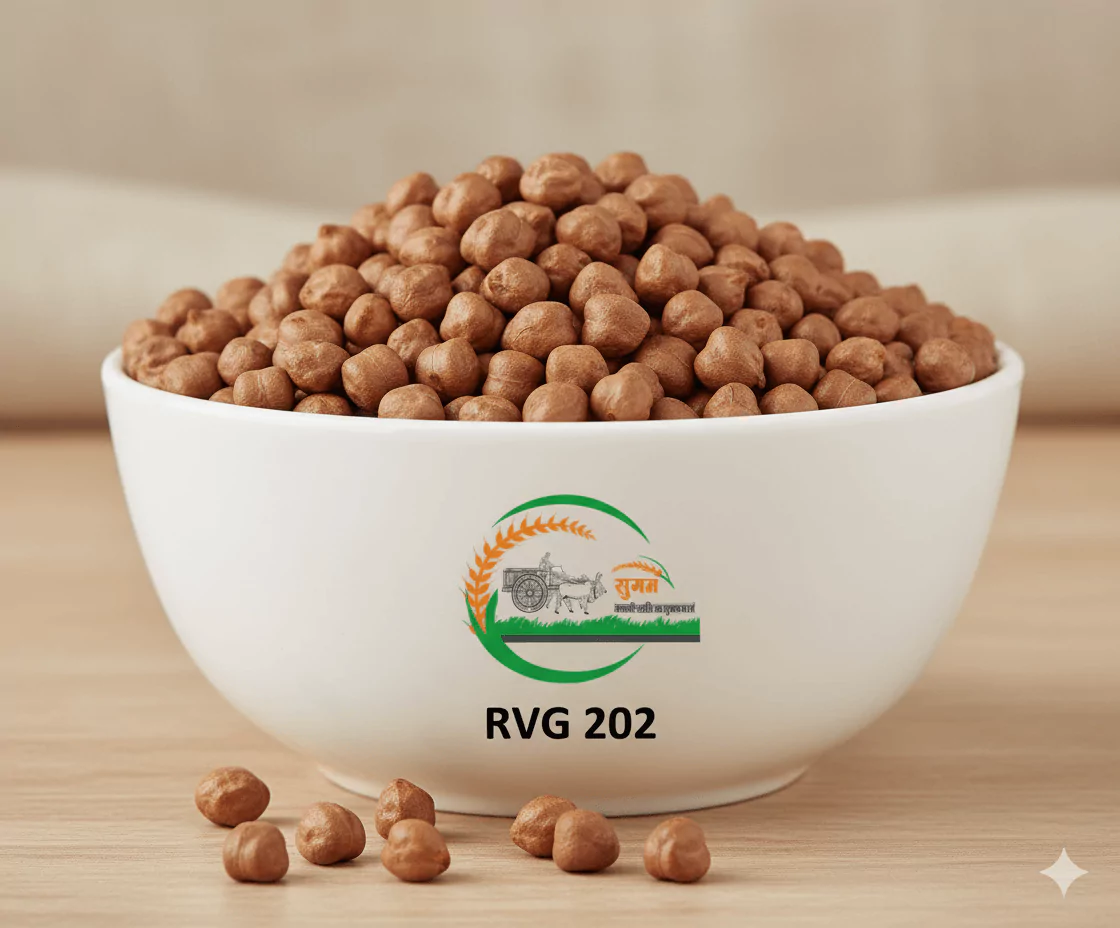 RVG  202 Gram / Chana - Sugam Seeds