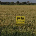 Infrastructure - Sugam Seeds Field Trials
