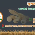 Sugam Seeds - Mamata Warehouse Address