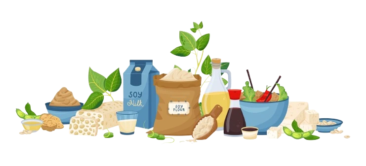 100% Organic Products - Sugam Seeds